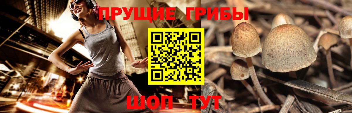 Псилоцибиновые грибы Magic Shrooms Малгобек